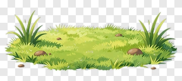 Green Grass Patch With Stones PNG