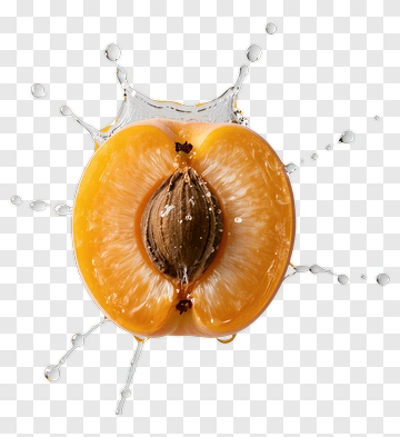 Juicy Apricot Splashing In Water PNG