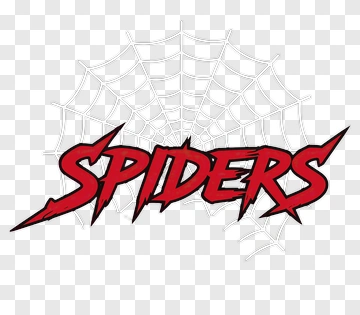 Spiders Text With Web Background PNG
