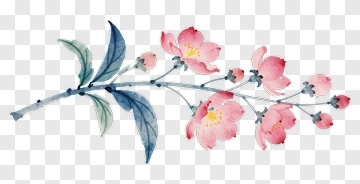 Watercolor Pink Flower Branch PNG