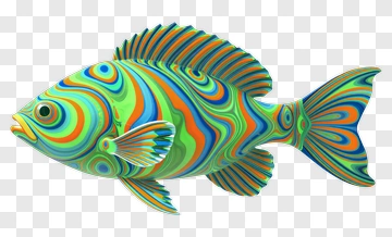 Colorful Fish PNG