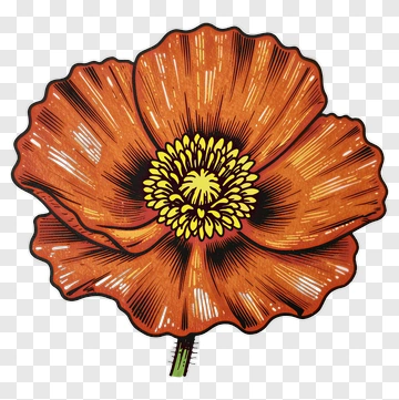 Orange Flower With Yellow Center PNG