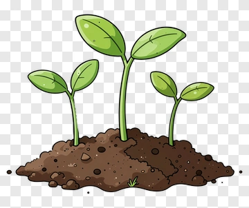 Cartoon Sprouts Growing From Soil PNG