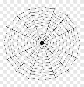 Black Spider Web PNG
