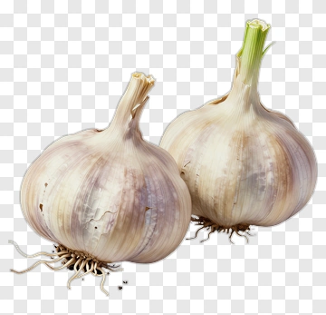 Garlic Bulbs PNG