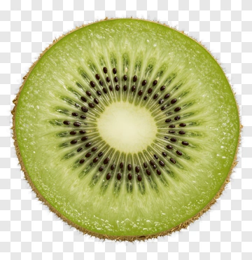 Sliced Kiwi Fruit PNG