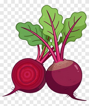 Colorful Beetroot With Green Leaves PNG