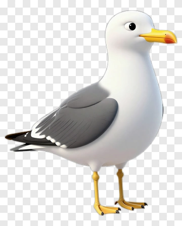 Cartoon Seagull PNG