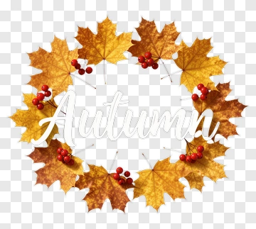 Autumn Wreath With Leaves And Berries PNG