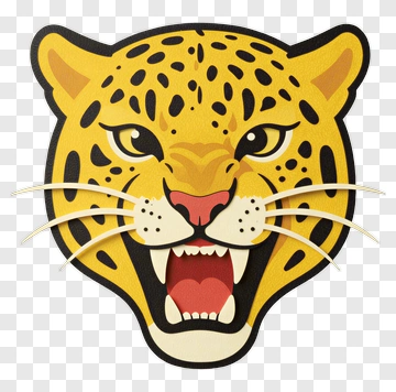 Cartoon Leopard Head PNG