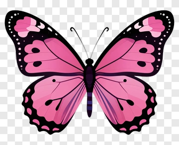 Pink Butterfly PNG