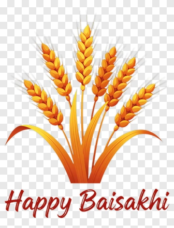 Happy Baisakhi Wheat Illustration PNG