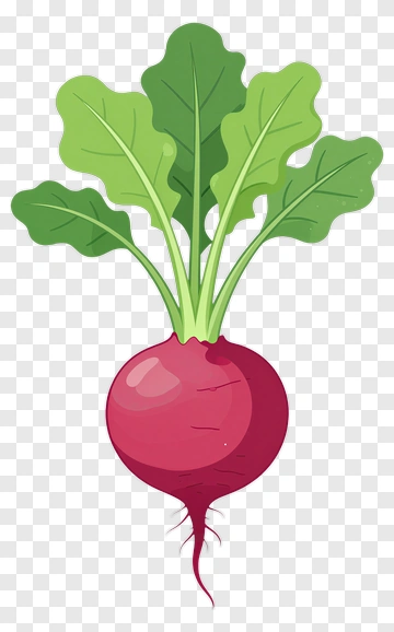 Cartoon Radish With Green Leaves PNG