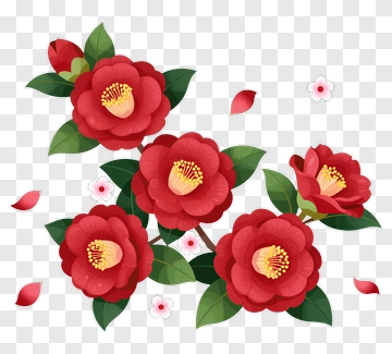 Colorful Red Flower Bouquet PNG