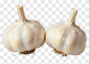 Garlic Bulbs PNG