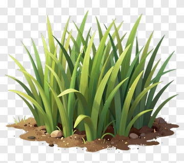 Colorful Grass Clump PNG