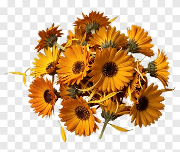 Bouquet Of Yellow Flowers PNG