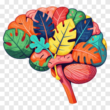 Colorful Brain With Leaves PNG