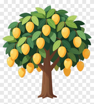 Lemon Tree With Yellow Fruits PNG