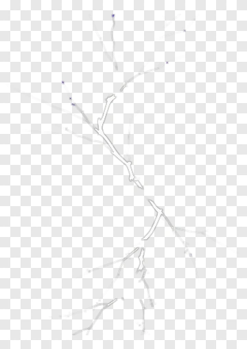 Tree Branch PNG