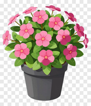 Colorful Flower Pot With Pink Flowers PNG