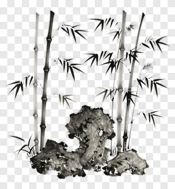 Bamboo And Rocks In Ink Wash Style PNG