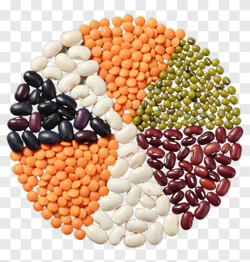 Colorful Assortment Of Beans In A Circular Arrangement PNG