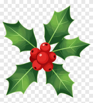 Holly Leaves With Red Berries PNG