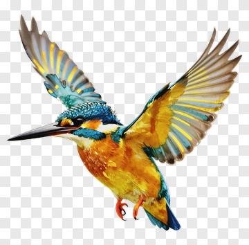 Colorful Kingfisher In Flight PNG