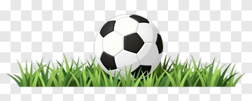 Soccer Ball On Grass PNG