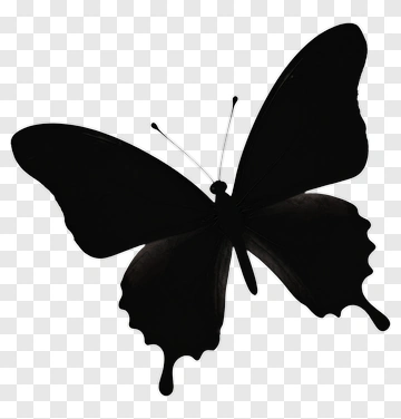 Silhouette Butterfly PNG