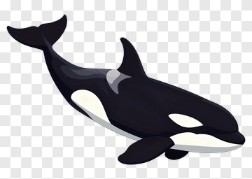 Cartoon Orca Swimming PNG