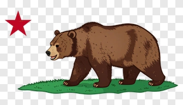 Cartoon Bear Walking On Grass With A Star PNG