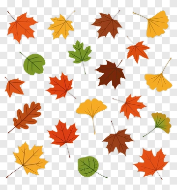 Colorful Autumn Leaves PNG
