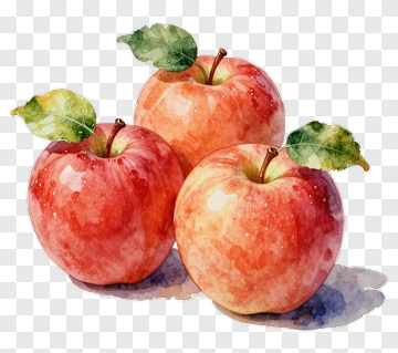 Watercolor Red Apples With Leaves PNG