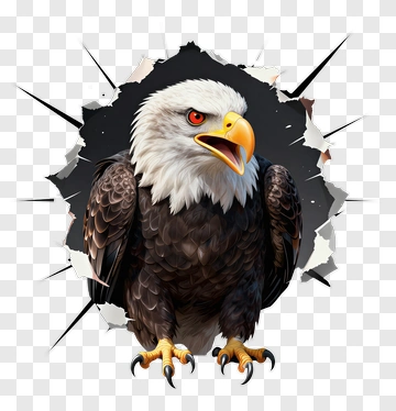 Eagle Breaking Through A Wall PNG