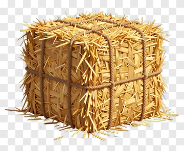 Hay Bale PNG