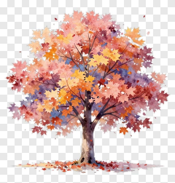 Colorful Autumn Tree PNG