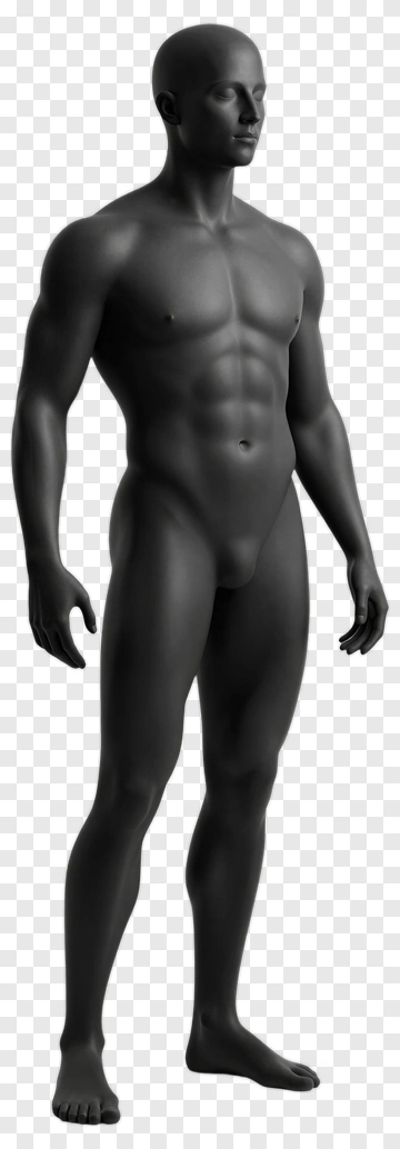 3D Male Mannequin Model PNG