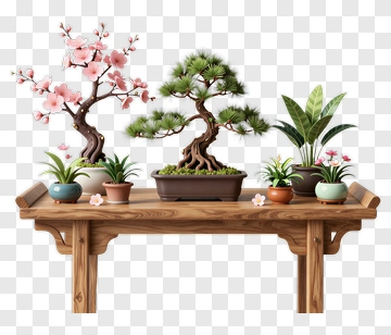 Bonsai Trees On A Wooden Table PNG