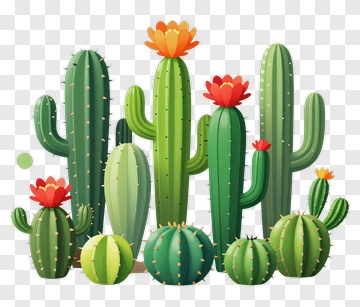 Colorful Cactus Arrangement PNG