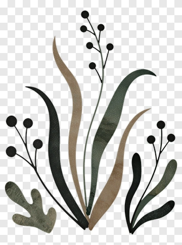 Stylized Botanical Illustration PNG