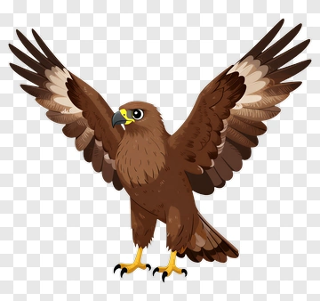 Cartoon Hawk With Outstretched Wings PNG