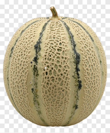 Melon With Intricate Pattern PNG