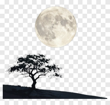 Silhouette Tree Under A Full Moon PNG