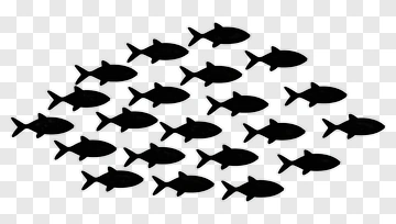 School Of Black Fish PNG