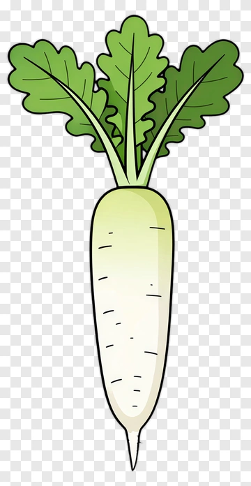 Cartoon Radish With Green Leaves PNG