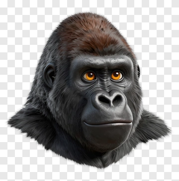 Realistic Gorilla Head PNG