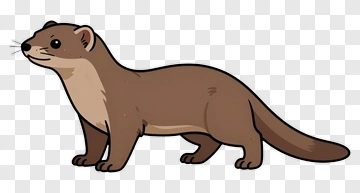 Cartoon Ferret PNG