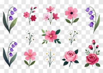 Colorful Flower Collection PNG